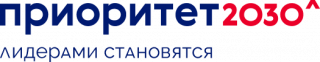 big logo